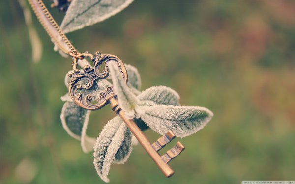 skeleton_key-wallpaper-1680x1050