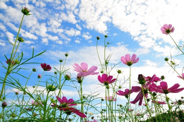 happiness-is-the-key-to-life