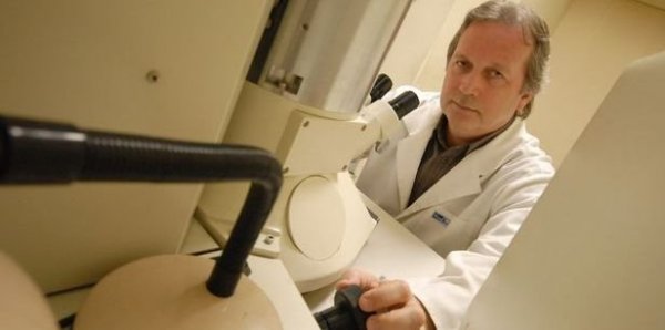 Freud_Tamas_fill_616x306