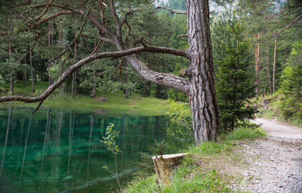 austrian-park-001