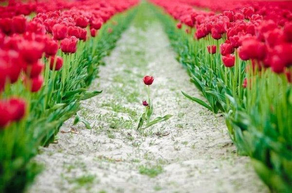 10153894_665156686864743_854709087_n