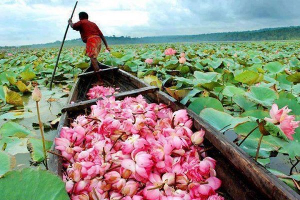 65940_556241621152234_6068654662624641889_n