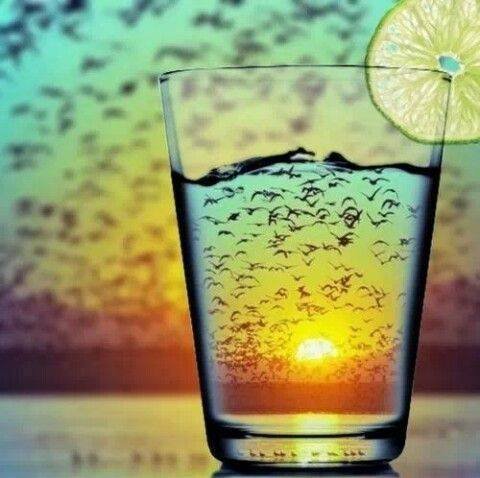 999960_640533416001185_603257346_n