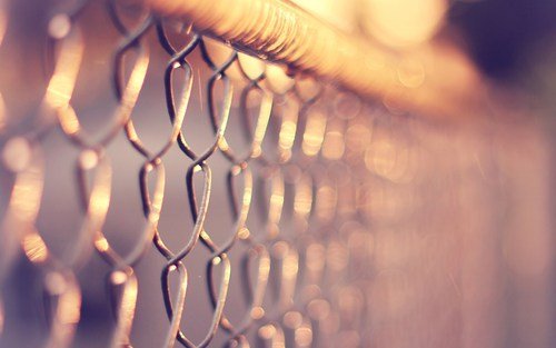 Netting-fence-wallpaper