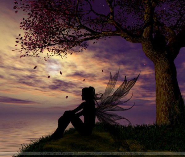 dreaming-fairy-lovely-evening-31000