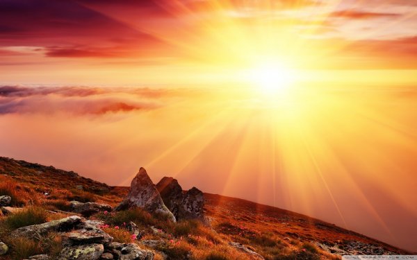 morning_sun_2-wallpaper-1680x1050