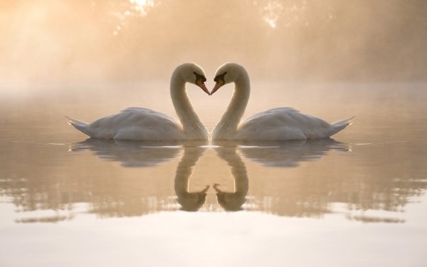 couple-love-heart-images-photos-0223184544