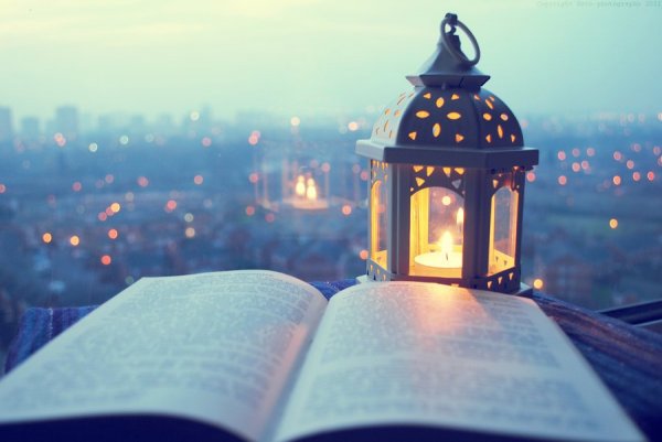 day_126_the_reader_by_sato_photography-d38hepi