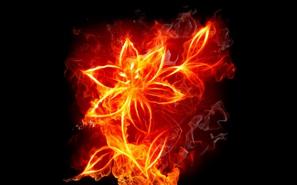 flower-fire-wallpaper