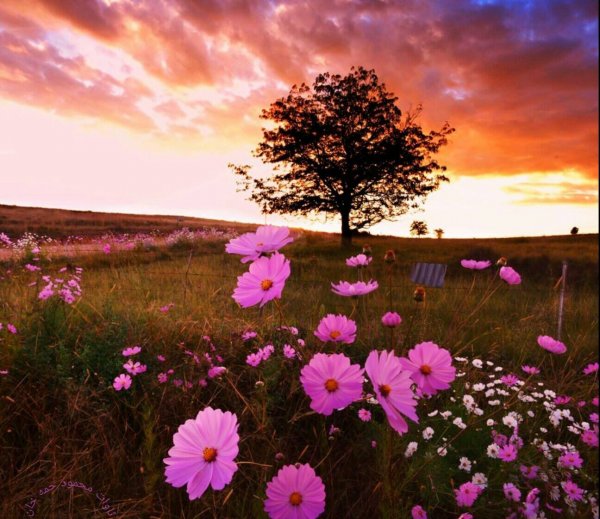 10174297_567174440062539_1553174170_o