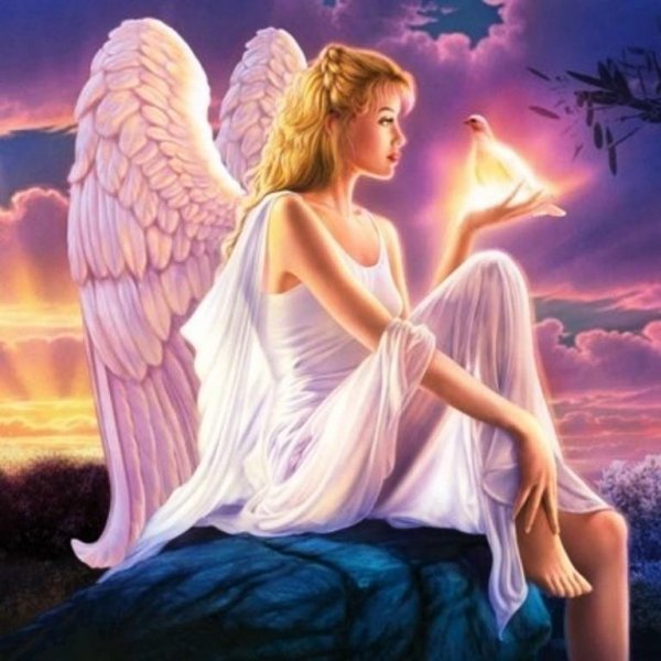 angel
