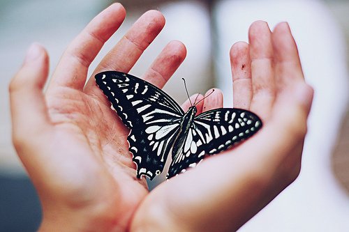 butterflies-butterfly-hands