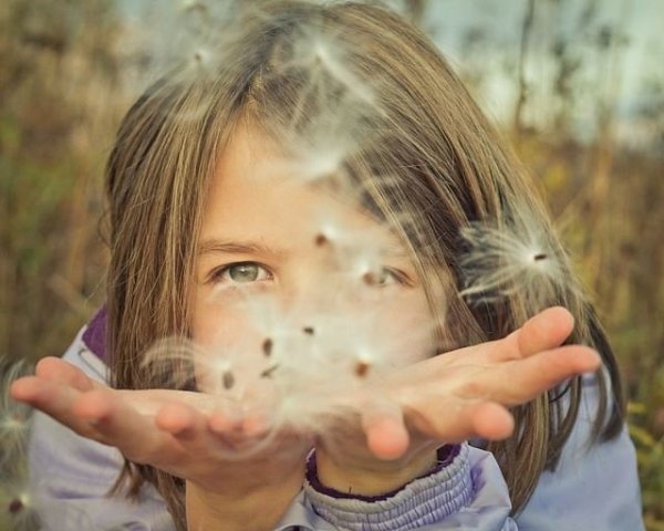 1017135_656815894365489_907941341_n