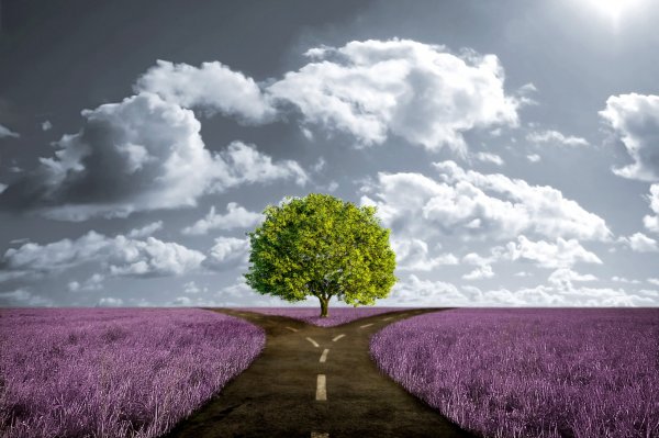 crossroad