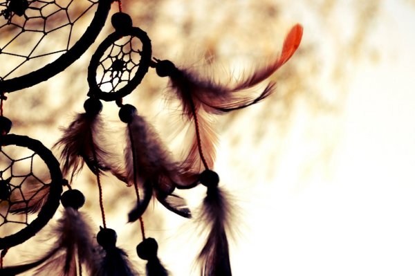 dreamcather