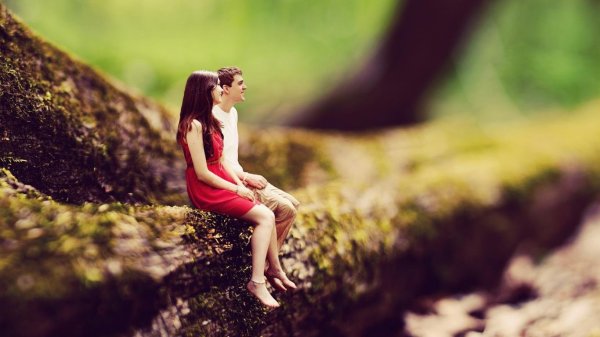 205397-tree-boy-girl