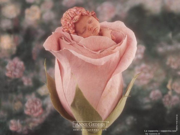 ChildbyAnneGeddes61