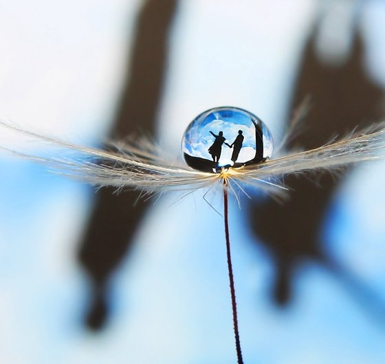 reflection3