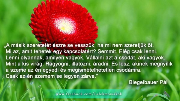 idézet_biegelbauer pál