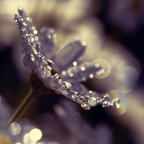 Ambience