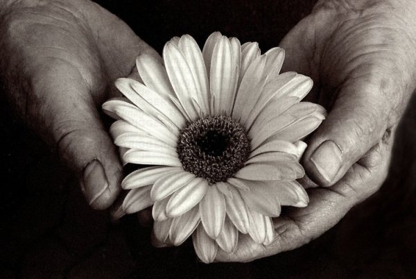 hand