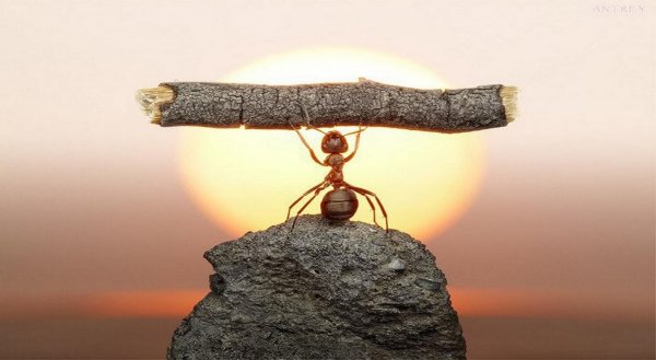 hard-work-is-the-key-to-success