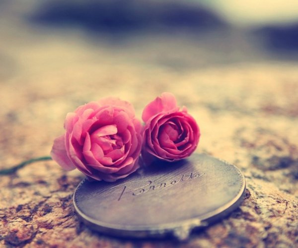 love_roses
