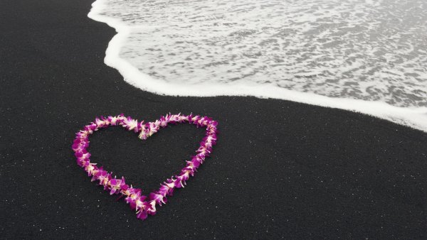sea_heart_nature_landscape_flowers_love_romance_54126_1920x1080