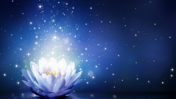 blooming-flower-sparkle