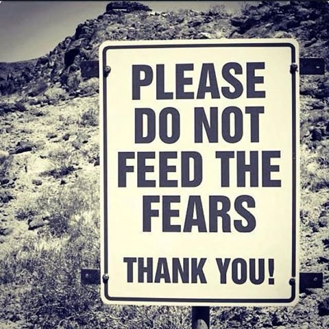 fears