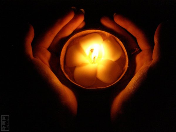 light_of_my_soul_by_alia_mayuri